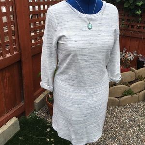 GAP Sweatshirt Dress